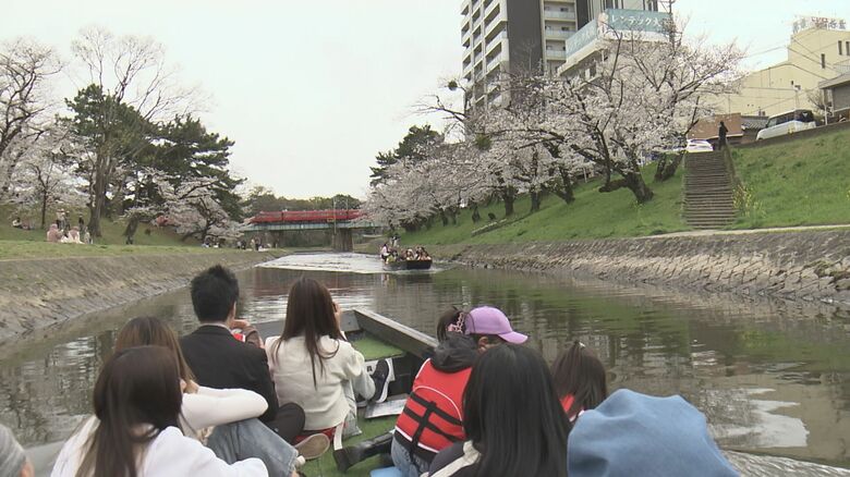 「600g花見団子」が名物…“日本さくらの名所100選”岡崎城公園で見頃迎える 川から見上げる桜や城とのコラボも｜FNNプライムオンライン