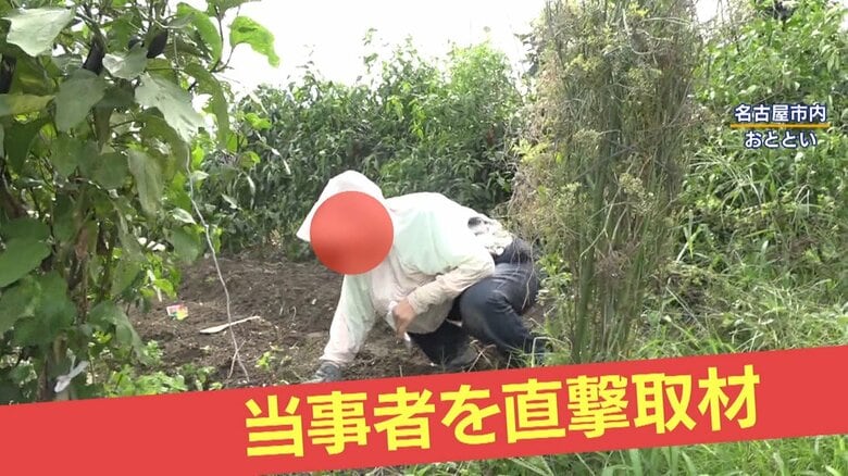【危険】河川敷で“ヤミ畑”横行…「日本語わからない」外国人の姿も　私有地と国有地の境界が“曖昧”　行政代執行に大きな壁｜FNNプライムオンライン
