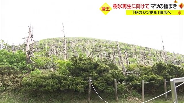 蔵王ロープウェイ山頂駅から見た山頂
