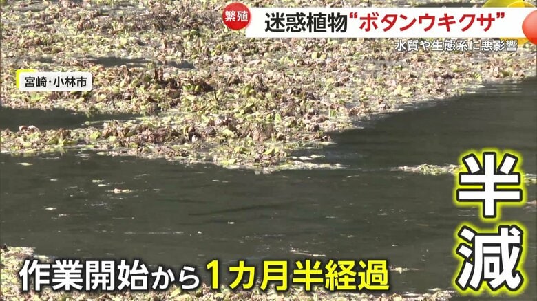 地道な作業を繰り返し、ようやく半減