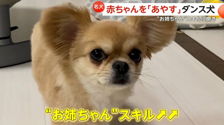 日々“お姉ちゃん”スキルがアップしているハナちゃん