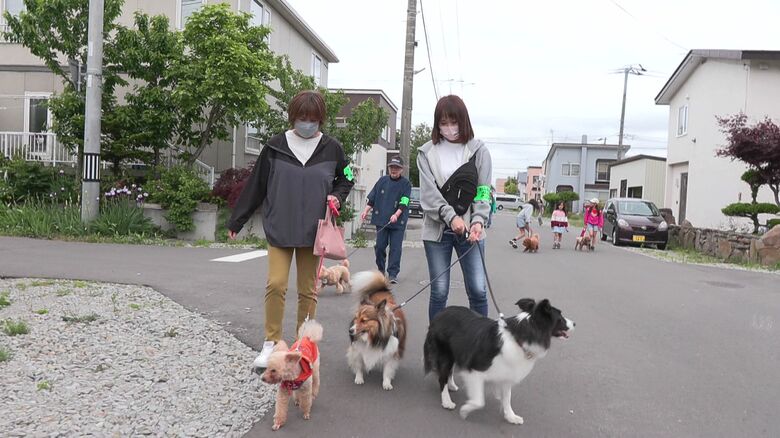 愛犬と散歩をしながら見回り