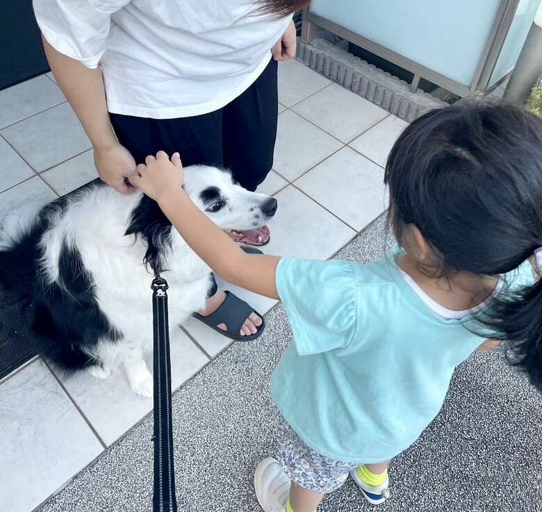 チヤホヤされるマロくん