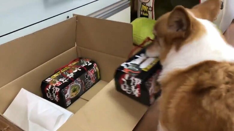 持ち帰られる伊勢うどん