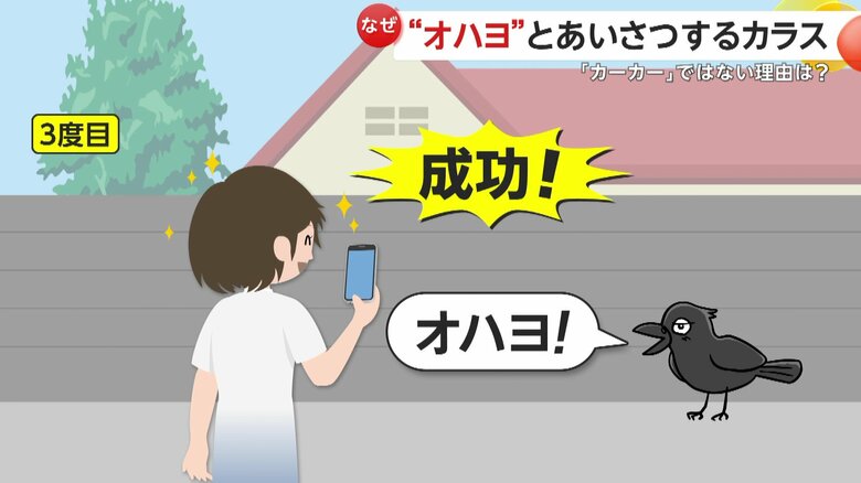 ようやく鳴き声を撮影することに成功したという3度目（イメージ画像）