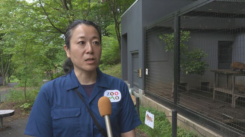 盛岡市動物公園ZOOM企画営業広報　森敦子さん