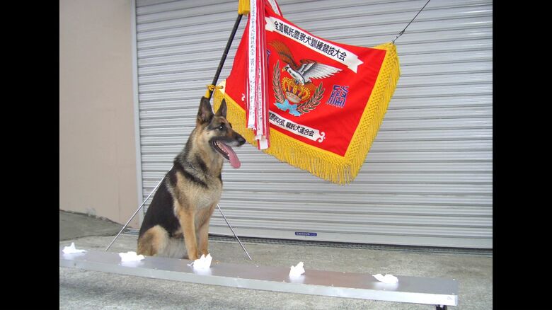警察犬として活躍していた愛犬マリン号