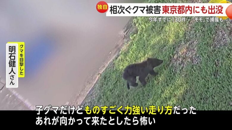 クマを目撃した明石健人さんは恐怖を感じたという