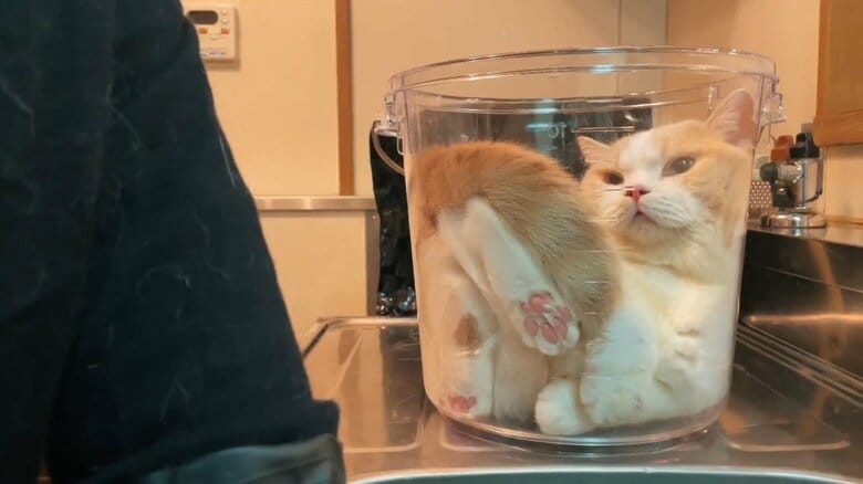 8月29日の投稿では1つだったが…