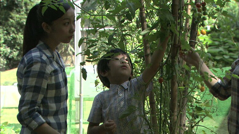 赤坂御用地内の畑を手入れされる佳子さまと悠仁さま