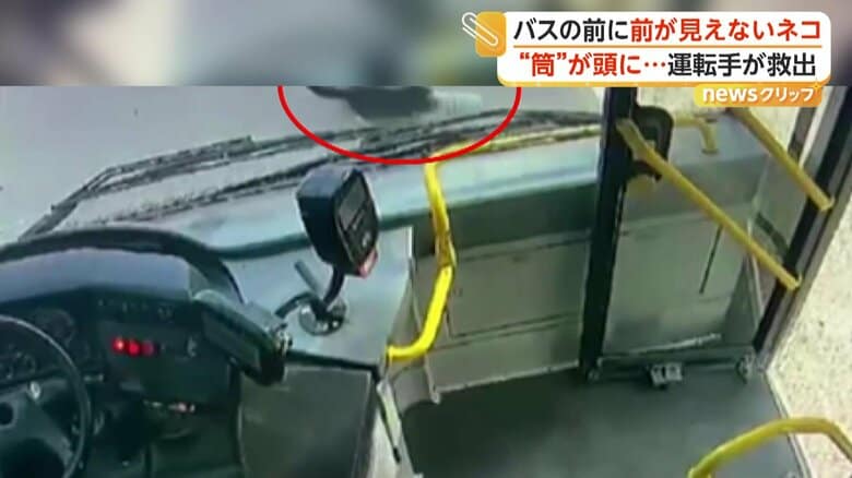 バスの前を動く黒い影（IHA）