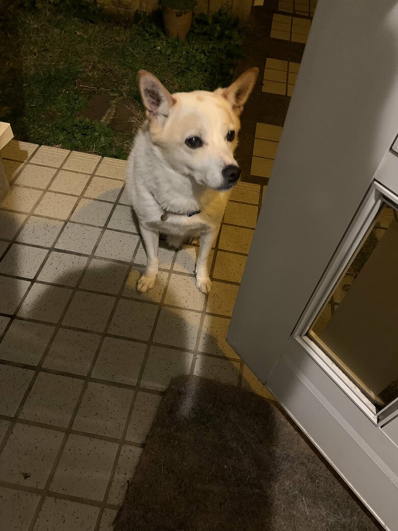 こちらは「帰宅したくない」とゴネている様子だとか…