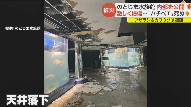 魚が泳ぐ水槽の水は濁っている