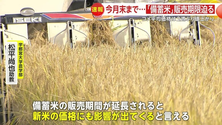 宇都宮大学農学部・松平尚也助教は備蓄米の販売期間延長が新米価格にも影響すると話す