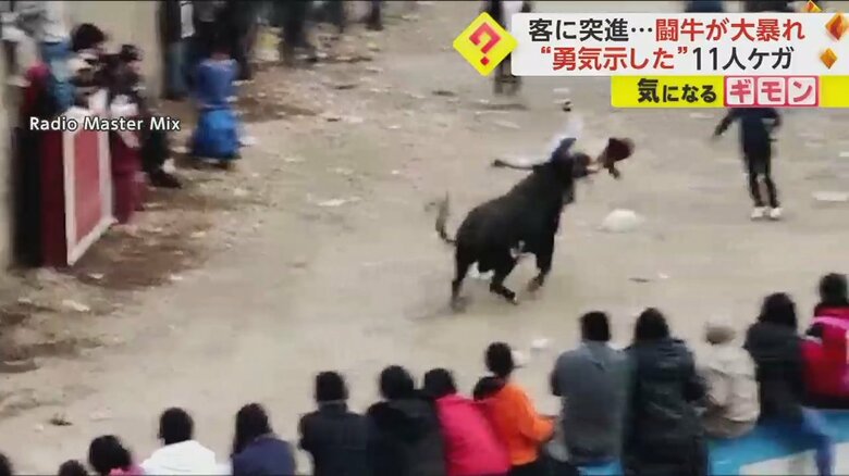 一騎打ちを挑んだ男性が、牛に突進される瞬間⑥