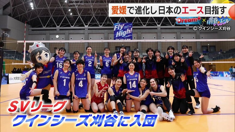 SVリーグ　クインシーズ刈谷に入団