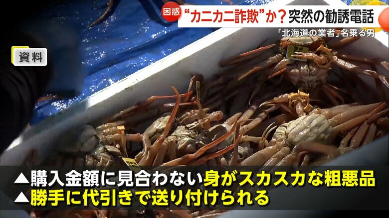 勝手に代引きで送り付けられることもあるという“カニカニ詐欺”