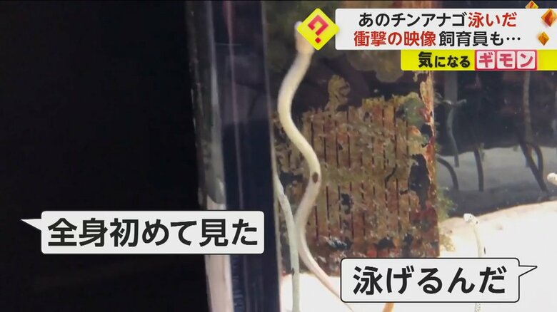 （京都水族館）