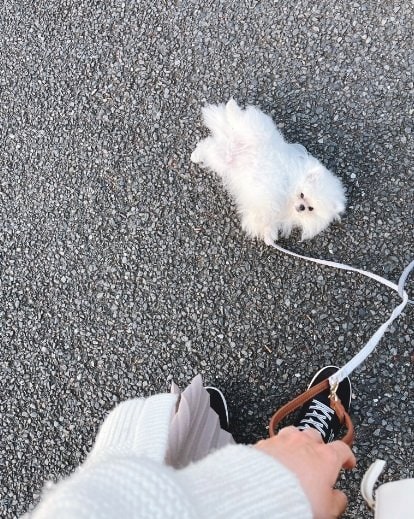 4カ月のころの“歩行拒否”あんにんくんを別の角度から…