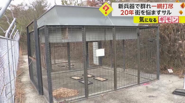 コンテナ状のわな