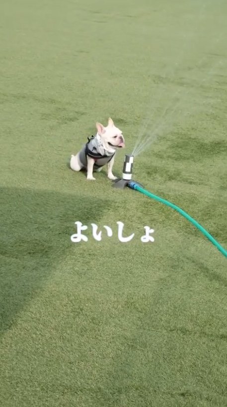 提供：むぎさん