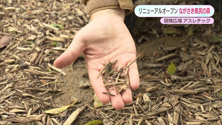 ウッドチップが敷き詰められている