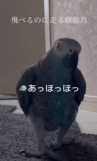 ダッシュするチキンマンくん