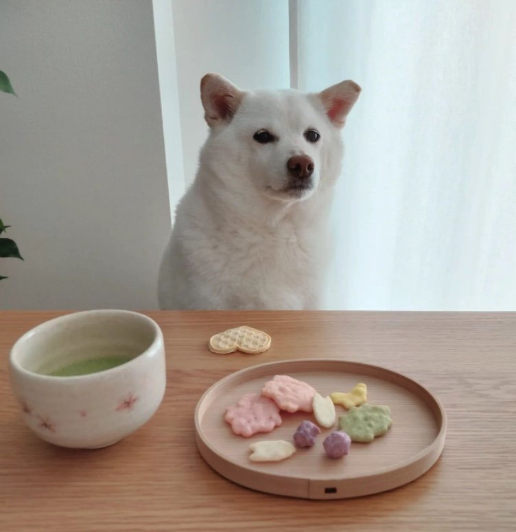 提供： kinako_kinakoさん