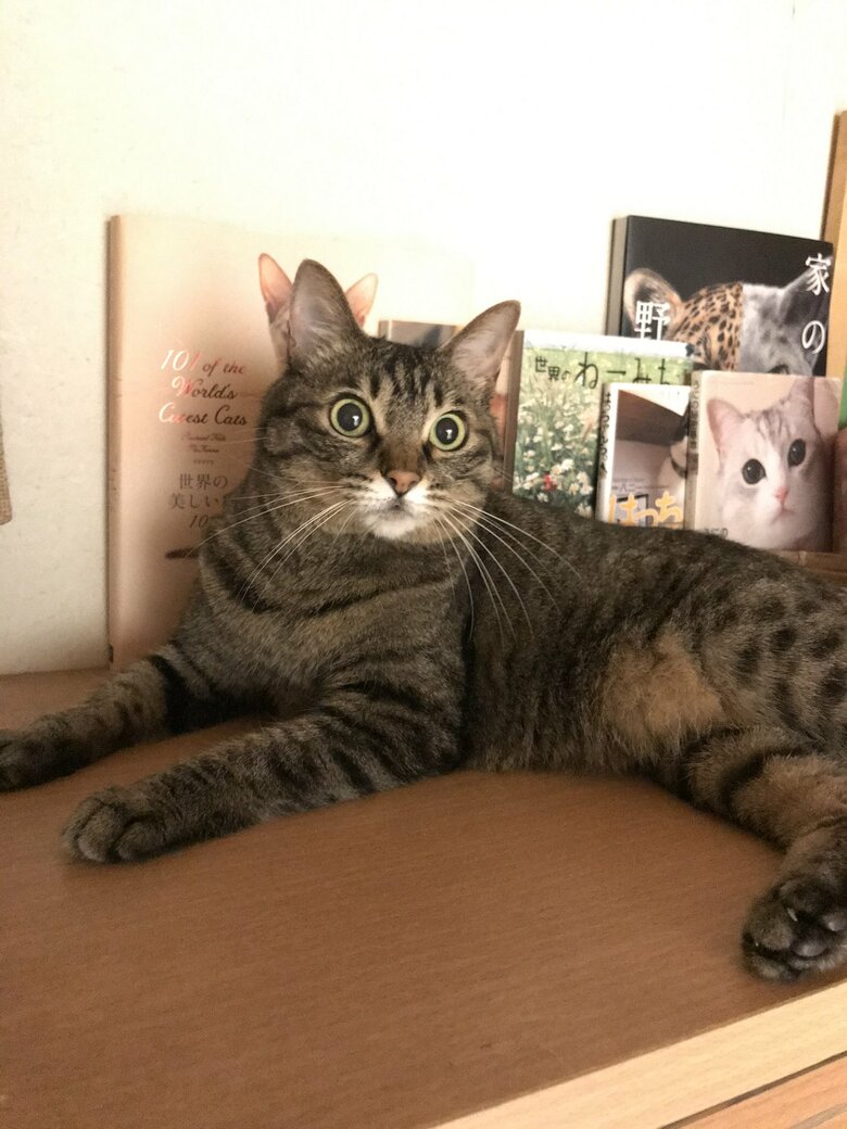 提供：えーさん