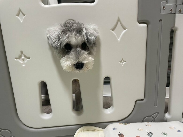 食い気味で覗き込む