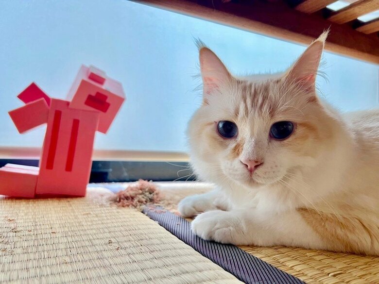 「いなり」くん