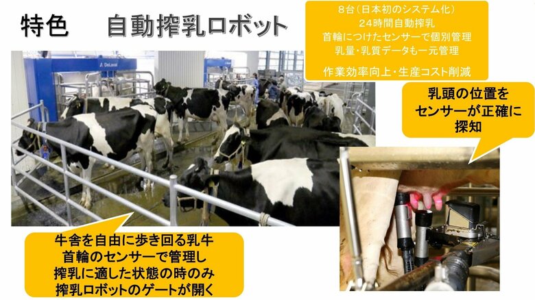 搾乳ロボットの概要（提供：Kalm角山）