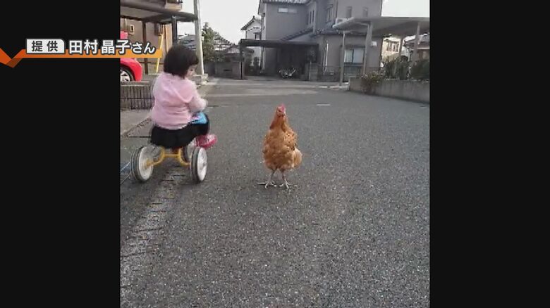 幼い頃のあんさん