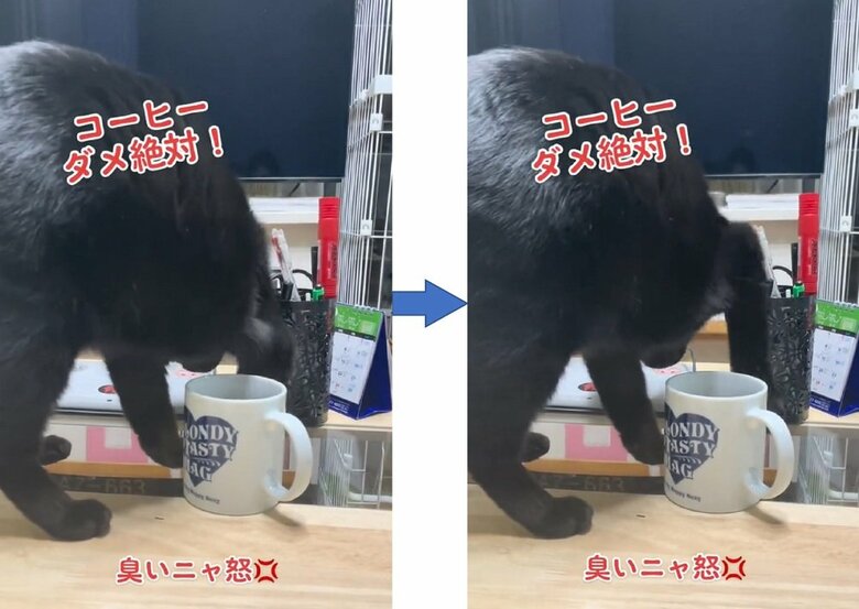 さまざまな角度からカキカキ