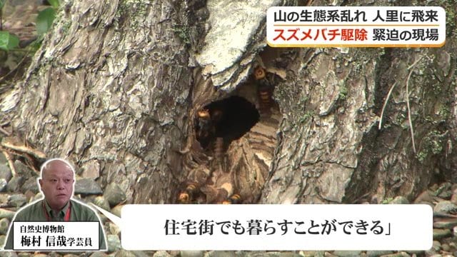 条件さえそろえば都市部でも暮らせる