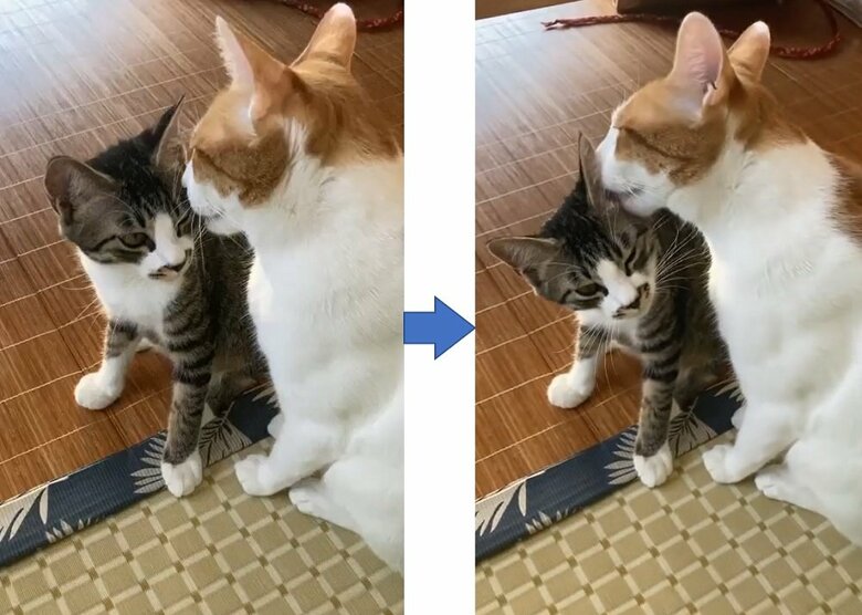 大三くんをなめすぎるわさびくん