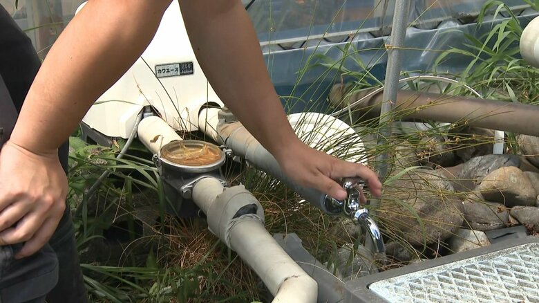 渡瀬さんの井戸