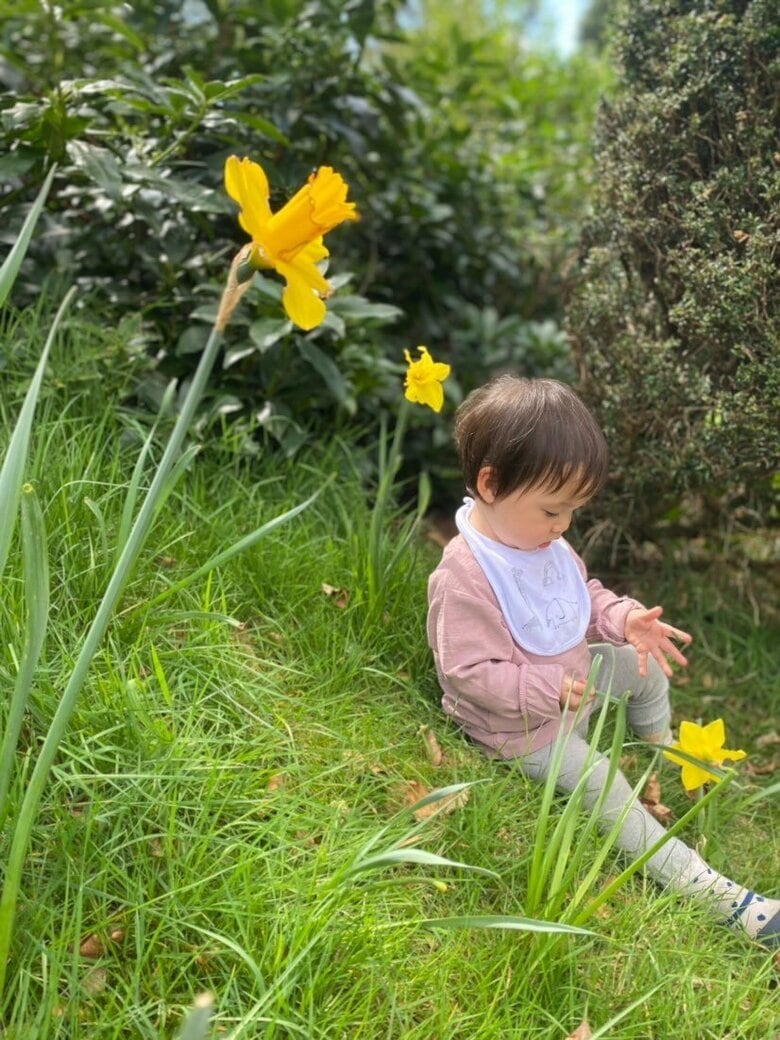 提供：lay_la_tk_sさん