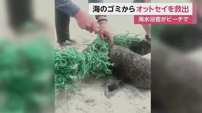 Instagram @Jamessuter / BlackBeanProductions