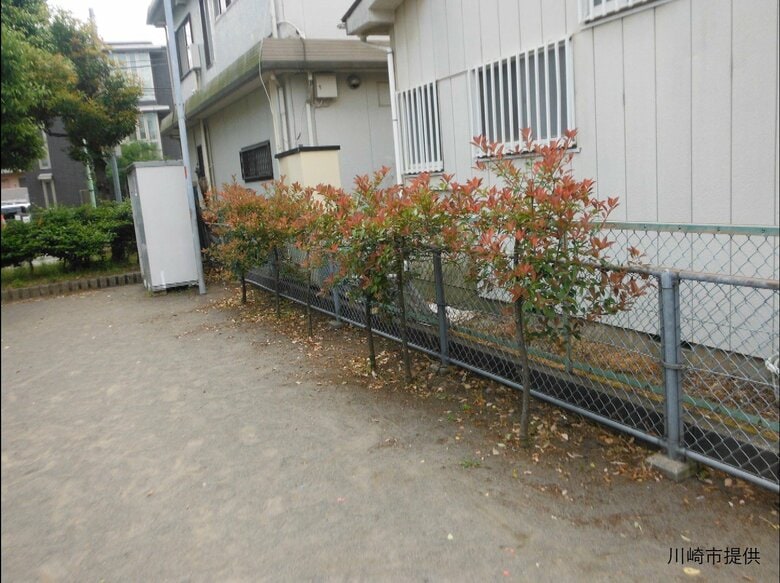 倒れる前の様子　画像の左奥に灰色のポールが見える