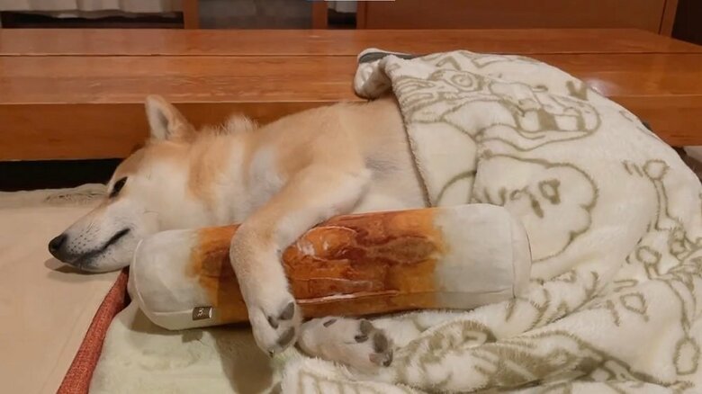 ちくわを抱きしめて
