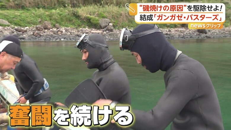 明るい海の未来のために、奮闘を続けるガンガゼバスターズ