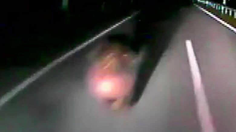 バスが道路上にいたクマと衝突（提供：宗谷バス）