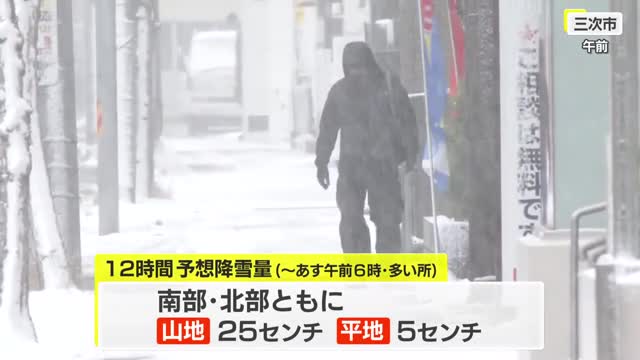 【１１日夕方時点】県内の雪は夜まで断続的に降る予想　１２日には山沿い中心へ