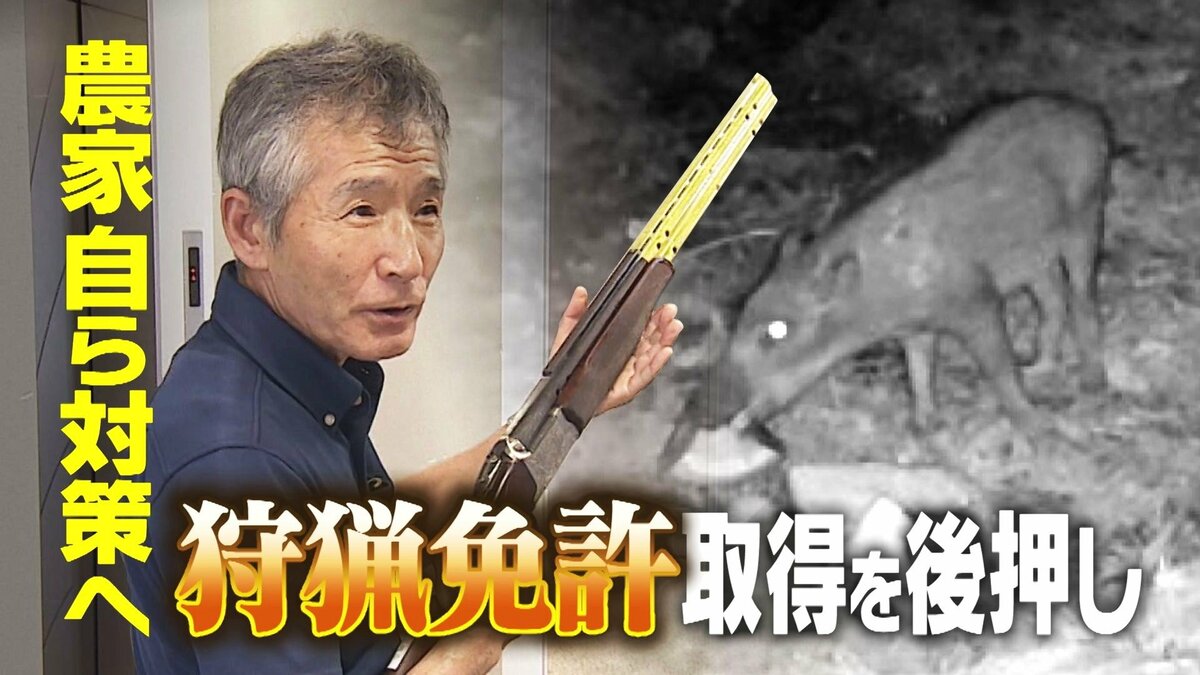 狩猟免許”取得を後押し！クマやイノシシなど鳥獣被害多発も…高齢化進み