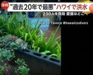 “過去20年で最悪“洪水がハワイ直撃　周辺地域一帯が水没し230人以上救助　ダム決壊のおそれも
