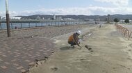 能登半島地震で明らかに　日本海側は液状化しやすい砂地盤が多く、発生率は太平洋側の2倍