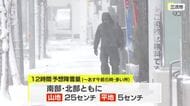 【１１日夕方時点】県内の雪は夜まで断続的に降る予想　１２日には山沿い中心へ