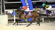 【ホッカイドウ競馬】「厩舎の皆さんが究極の仕上げで仕上げてくださった」7番人気クラプロスパーがエーデルワイス賞制覇
