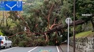 伊豆諸島に線状降水帯の恐れ　東日本に記録的大雨で冠水続出アンダーパスで1人死亡　巨大な倒木タクシー直撃